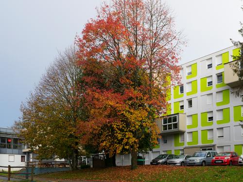 La Cité'U de Quimper